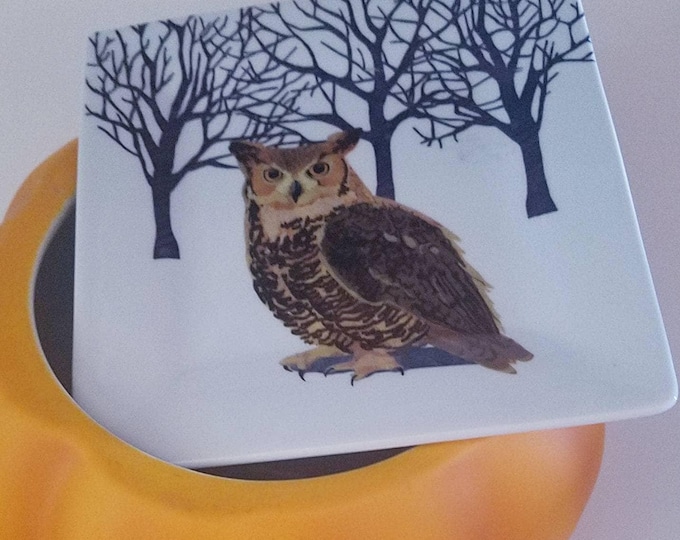 Owl Design Porcelain Salad Plate: Bird Lover Gift, Cabin Decor (Set of 2)
