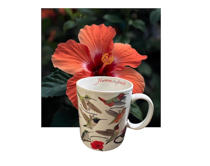 Hummingbird Mug 15 oz Porcelain Cornell Lab of Ornithology Bird Lover Coffee Cup