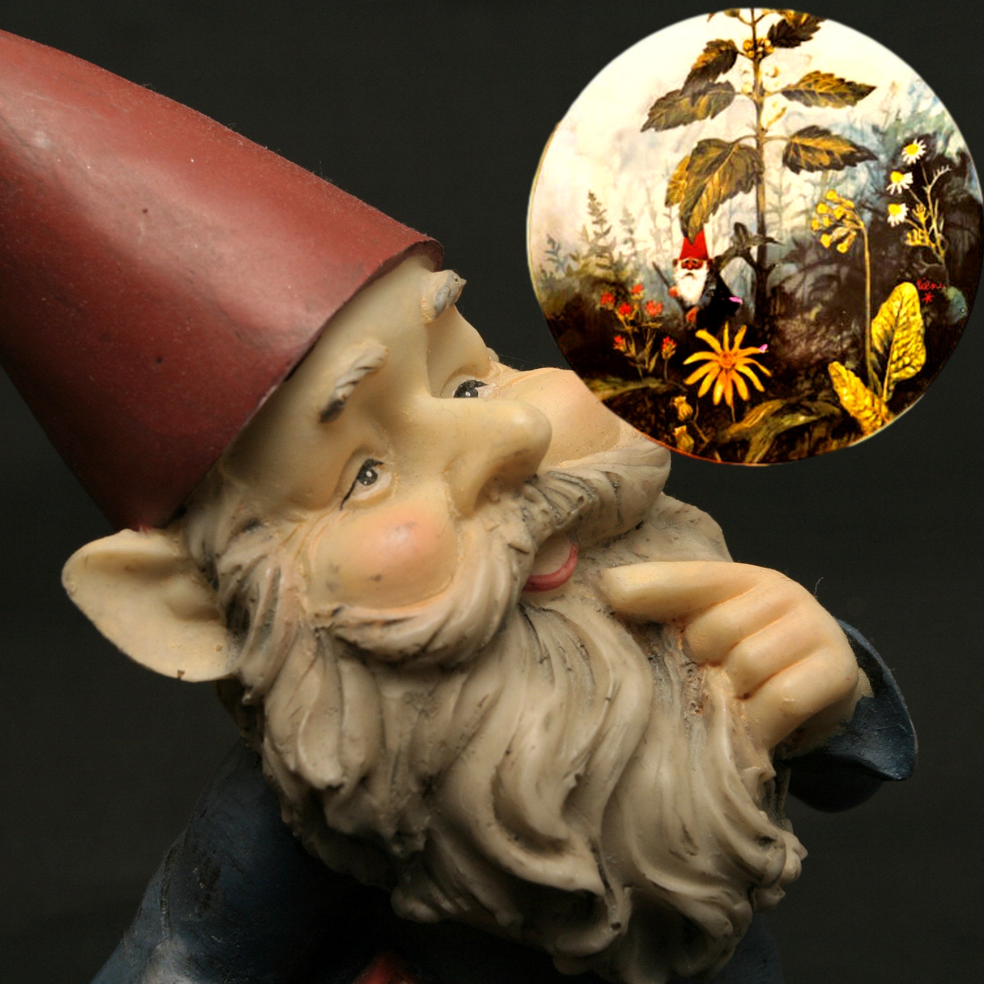 les gnomes rien poortvliet les gnomes rien poortvliet