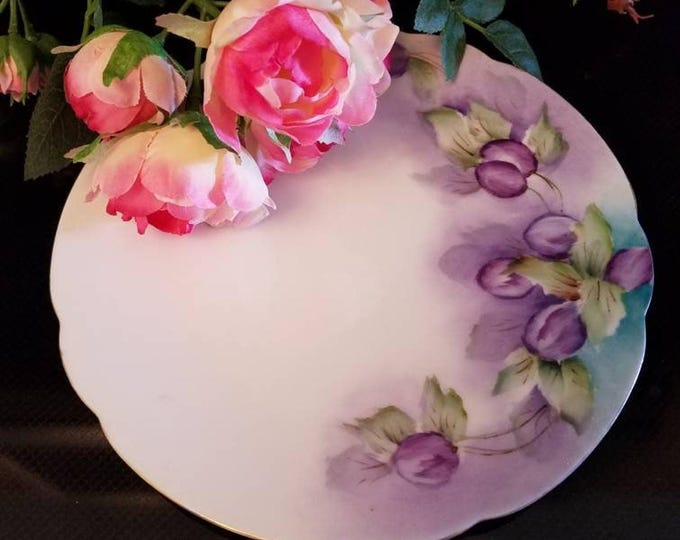 Display Cabinet DIsh |Classic Bavarian Hand Painted Porcelain Plate | German Plate