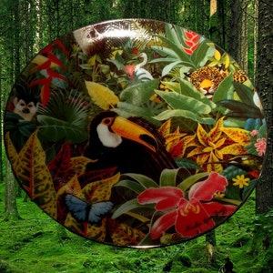 Vintage Rain Forest Magic Wall Hanging Plate | Charles Lynn Bragg