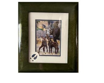 Alaska Moose Photo Print: Rustic Cabin Wall Art, 10x13 Print