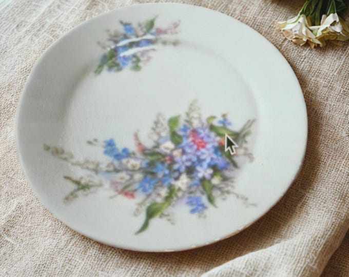 Bone China Floral Lunch Plates - Rohn Germany - Set of 3