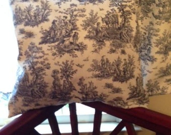 Blue toile pillow