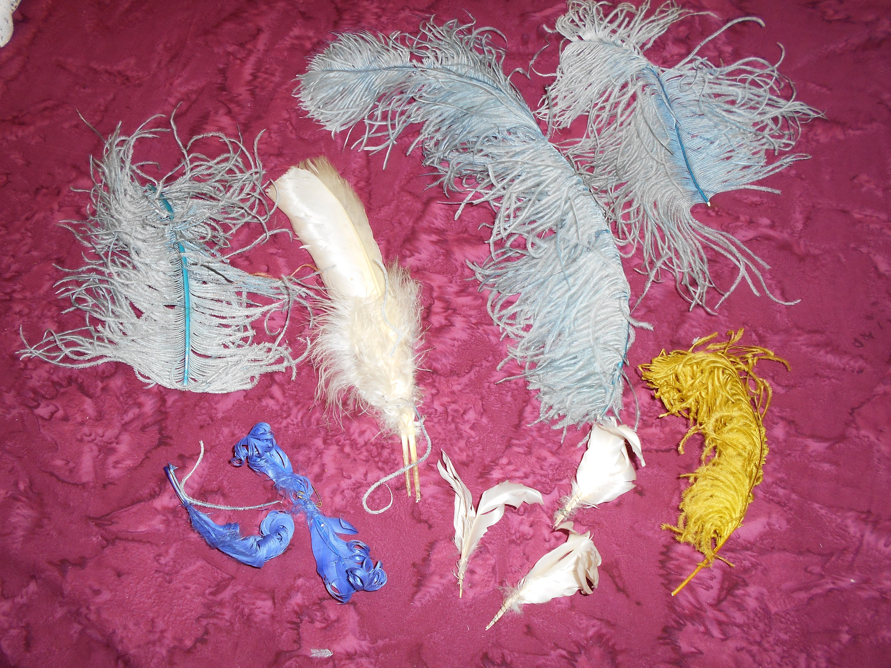 Lot of 10 Mixed ANTIQUE Feather Plumes VINTAGE MILINERY Feathers Blue ...