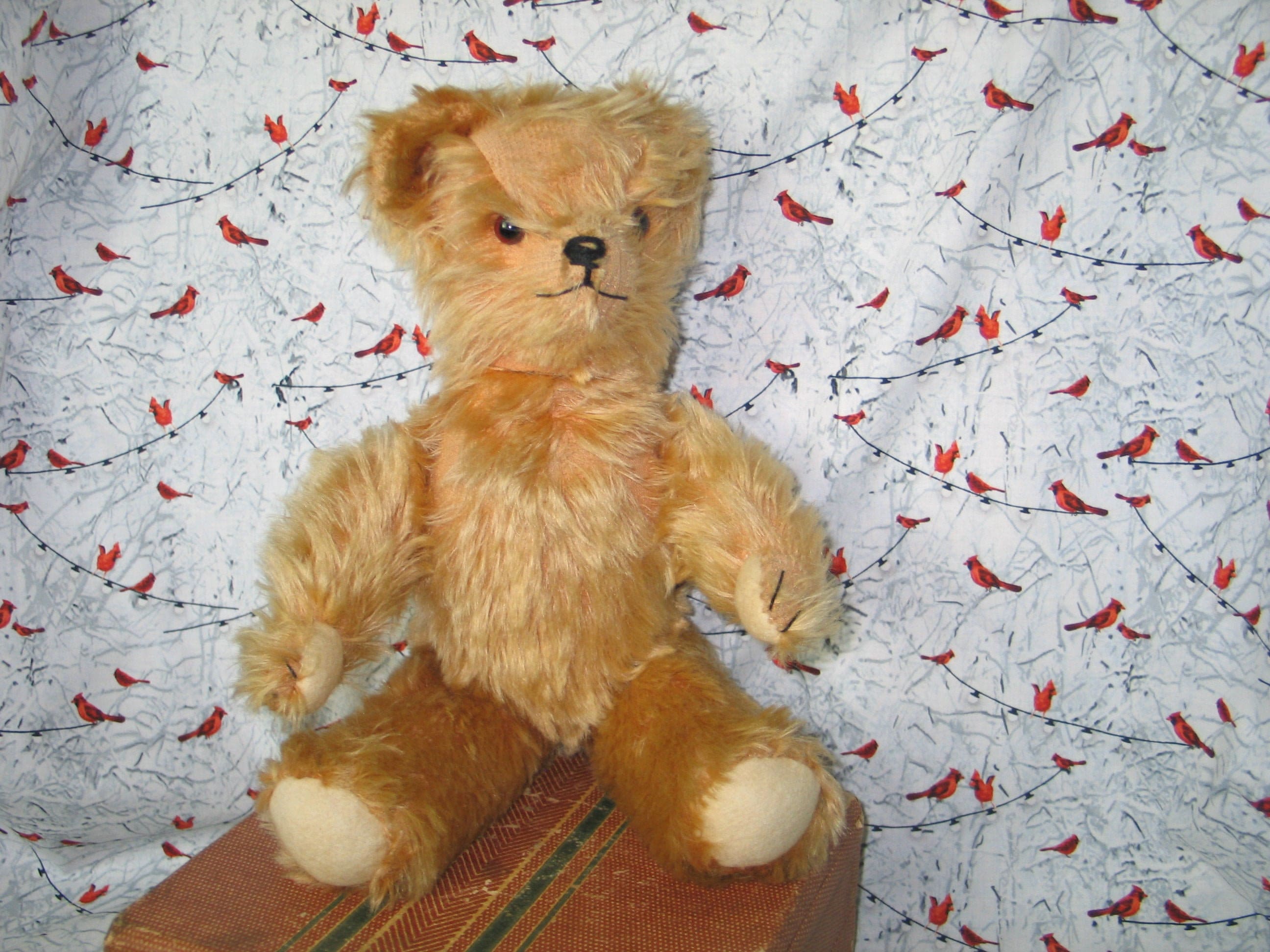 Adorable Antique Large German Petz Bear Ca. 1930s 1940s RARE 15