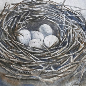 Art PRINT of bird nest. Watercolor Painting of bird nest. Watercolor nest painting. NEST Art print.  NEST Print of nest with eggs 5