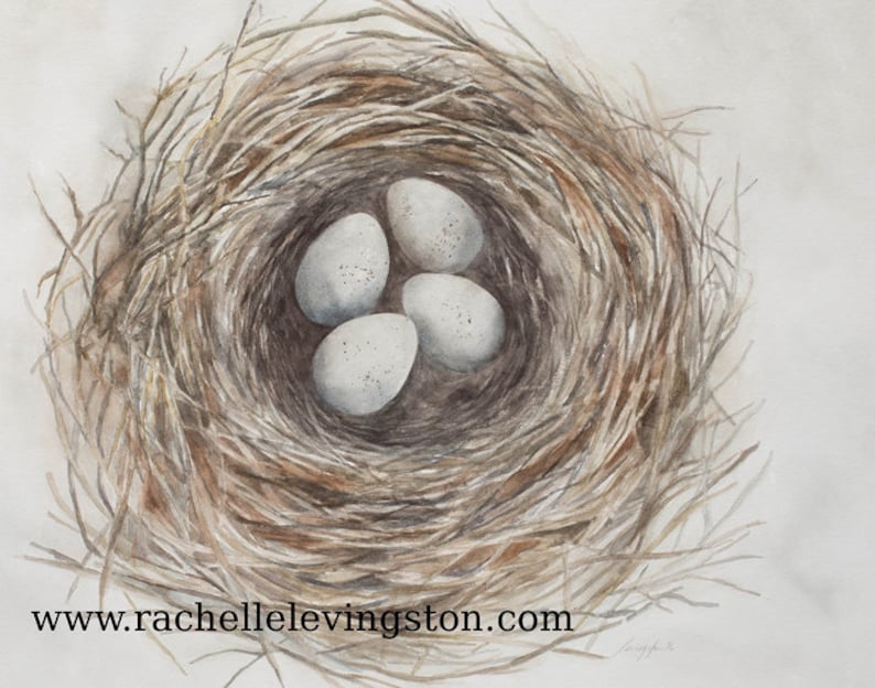Watercolor Painting of Bird Nest With 4 Eggs. Bird Nest Painting. ATC