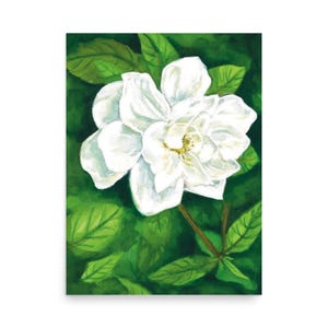 Weiße Magnolie Volle Blüte Blume Aquarell Malerei Fine Art Floral Südliche Magnolie Kunst Grün Botanische Mississippi State Garden Druck