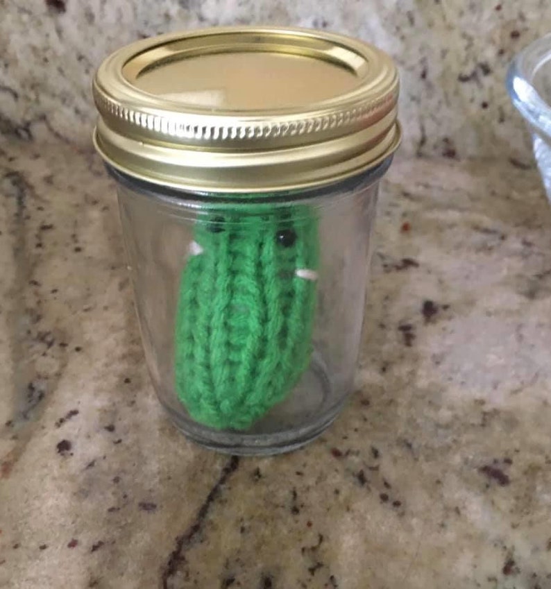 Knit Jar of Pickles Etsy