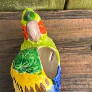 Pode incluir: Um vaso de cerâmica em forma de papagaio com um esquema de cores verde, amarelo, azul e marrom. O papagaio tem um bico vermelho e olhos vermelhos. O vaso tem um furo na parte de trás para pendurar.