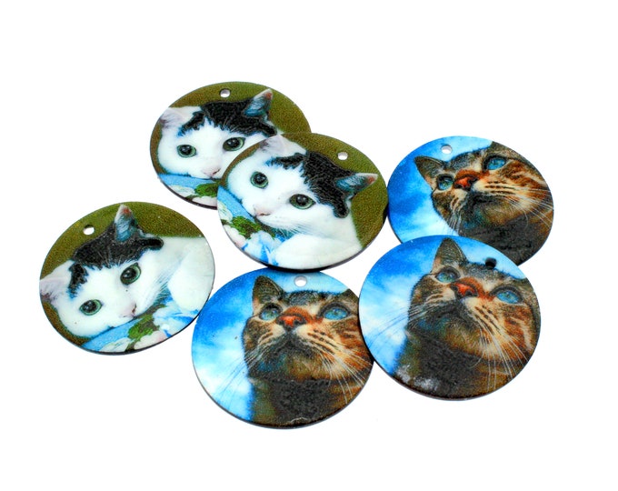 6PCS Black & White and Tabby Cat Round Tab Shell Charms (3 each) 25mm