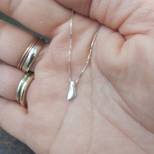 May include: A silver chain necklace with a small, smooth, silver pendant shaped like a teardrop.