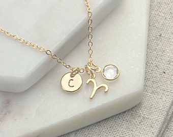 Aries Necklace with April Birthstone - Birthday Gift for Her - Gold Zodiac Necklaces for Women - Initial & Birthstone Personalised Necklace