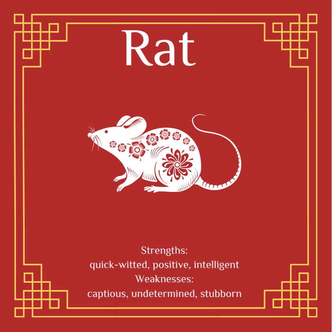Sterling Silber Ratte Halskette beste Freundin Geschenk 21 ...