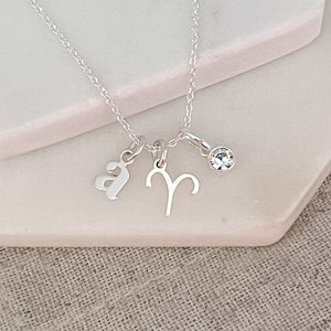 Aries Necklace with April Birthstone Sterling Silver Initial & Birthstone Necklace Birthday Gift For Her Personalised Aries Jewellery yes, add April