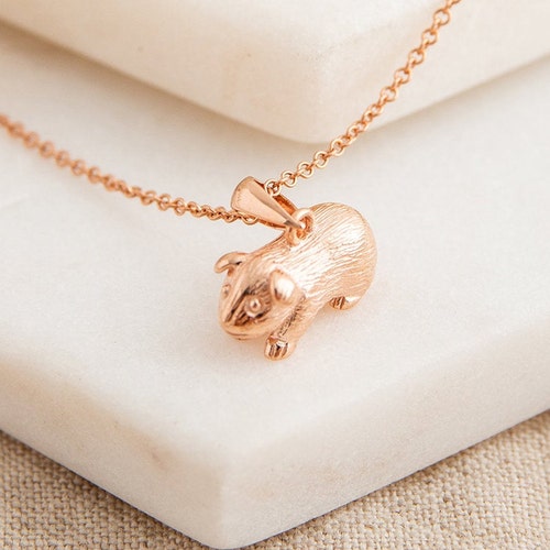 forza10 sensitive digestion