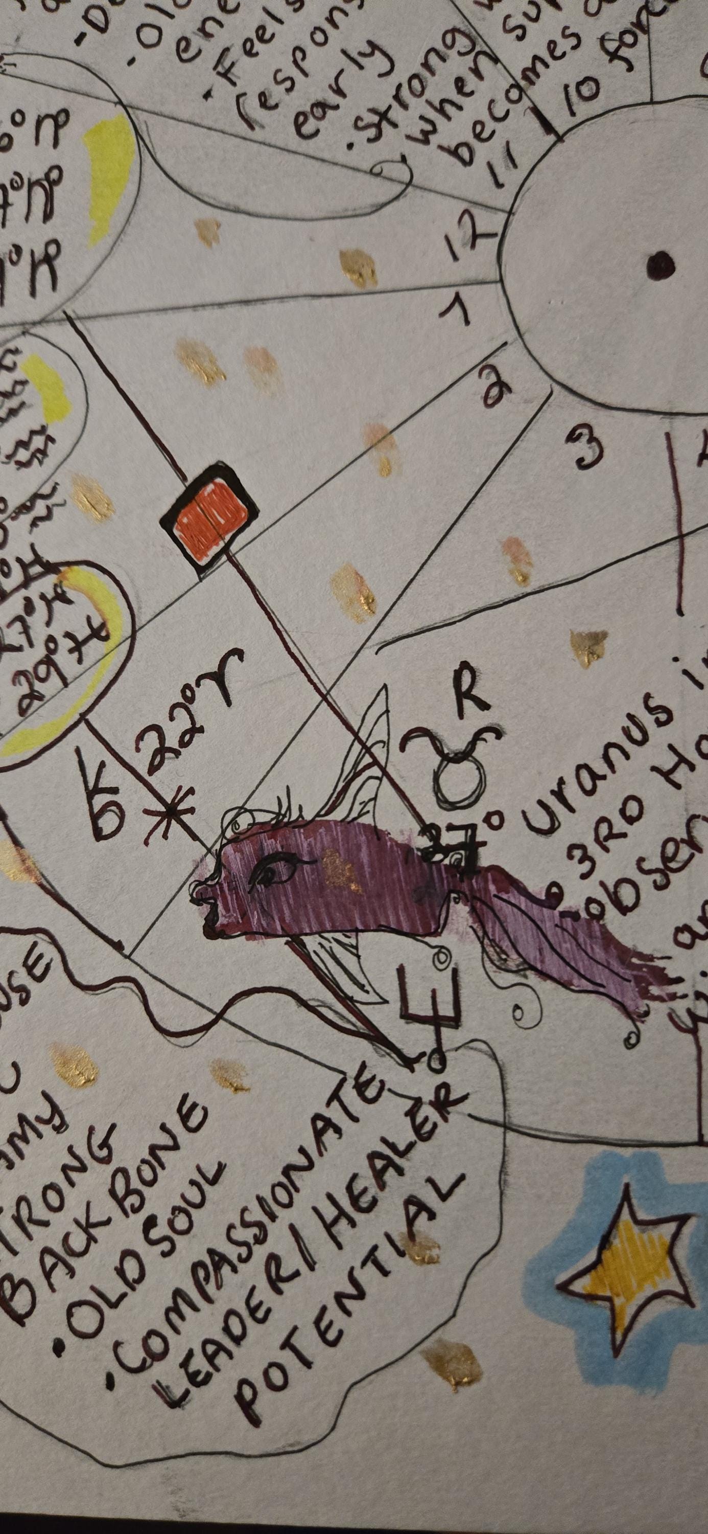 Placidus System Issues Hand Drawn Baby Astrology Chart, Placidus House System - Etsy