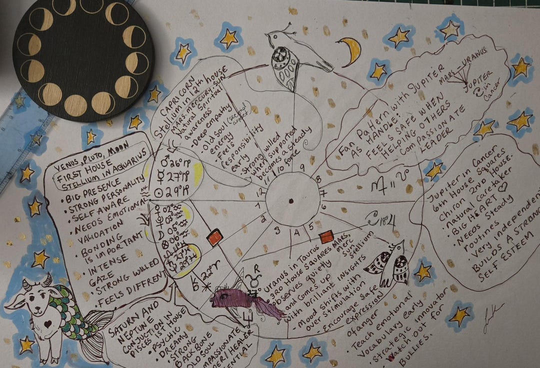 Placidus System Issues Hand Drawn Baby Astrology Chart, Placidus House System - Etsy