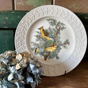 May include: White ceramic plate with an embossed leaf border. The plate features a colourful illustration of two birds perched on a tree branch. The birds have yellow, brown, and blue feathers. A decorative item.