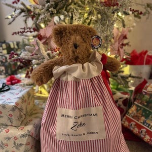 May include: A brown plush teddy bear sits inside a red and white striped fabric gift sack. The sack features a cream-coloured rectangular patch with the text: MERRY CHRISTMAS, Zeke, LOVE, STACIA & JORDAN. A red ribbon is tied to the side.