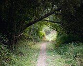 Il_170x135