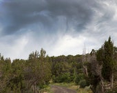 Il_170x135