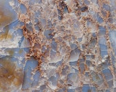 Il_170x135
