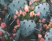 Il_170x135