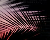 Il_170x135