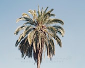 Il_170x135
