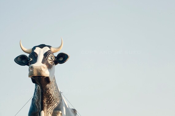Il_570xn