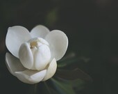 Il_170x135