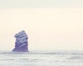 Il_170x135