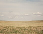 Il_170x135