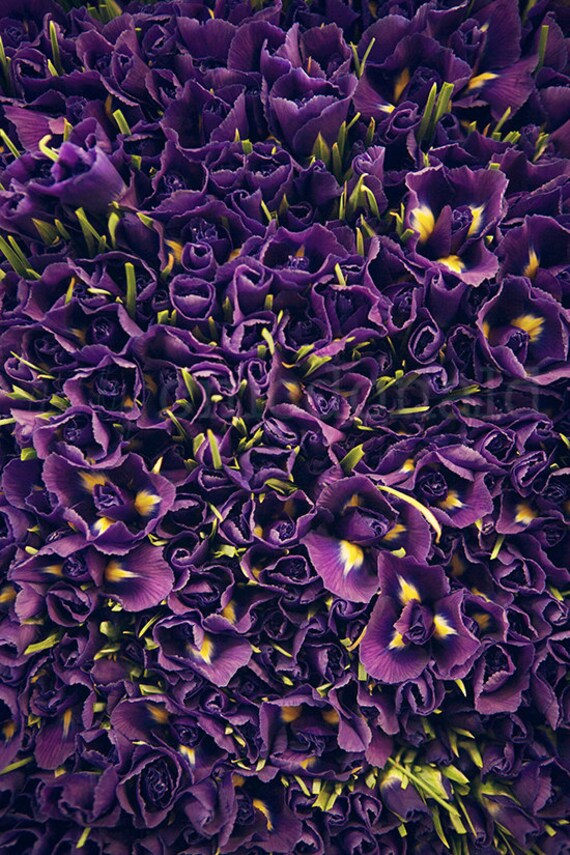 Il_570xn