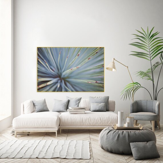 California Native Plants Cactus Photography Agave Bohemian Print Southwest Desert Art Boho Decor Living Room Art Apartment Decor