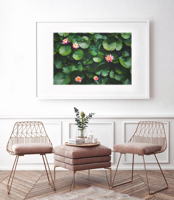 Waterlily Photography Lily Pad Art Echo Park Lake Photography