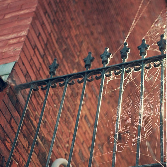 Il_570xn
