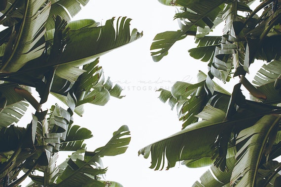 Il_570xn
