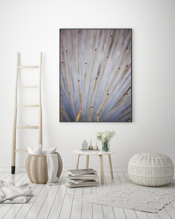 Cactus Photography California Native Plants Agave Bohemian Print Southwest Desert Art Boho Decor Living Room Art Apartment Decor