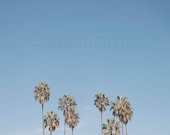 Il_170x135