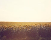 Il_170x135