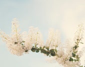 Il_170x135