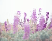 Il_170x135