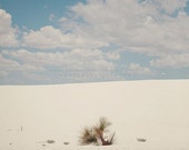 Il_170x135