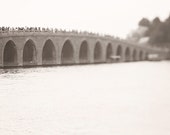 Il_170x135