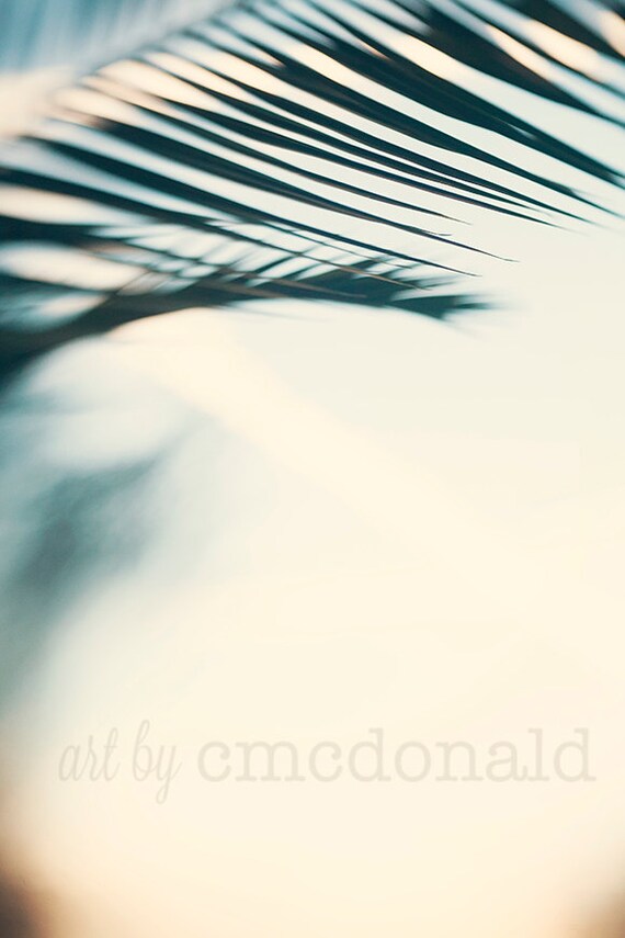Il_570xn