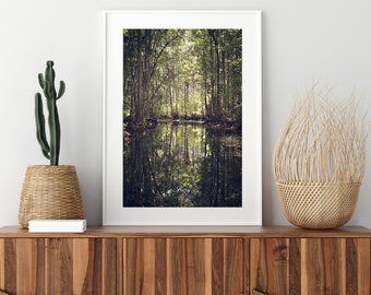 Georgia Low Country and Golden Isles Photography Print, Georgia Wall Art