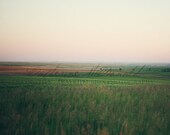 Il_170x135